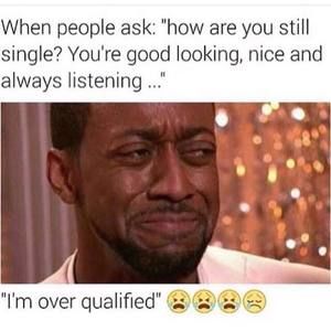 Meet your Posher, Jake